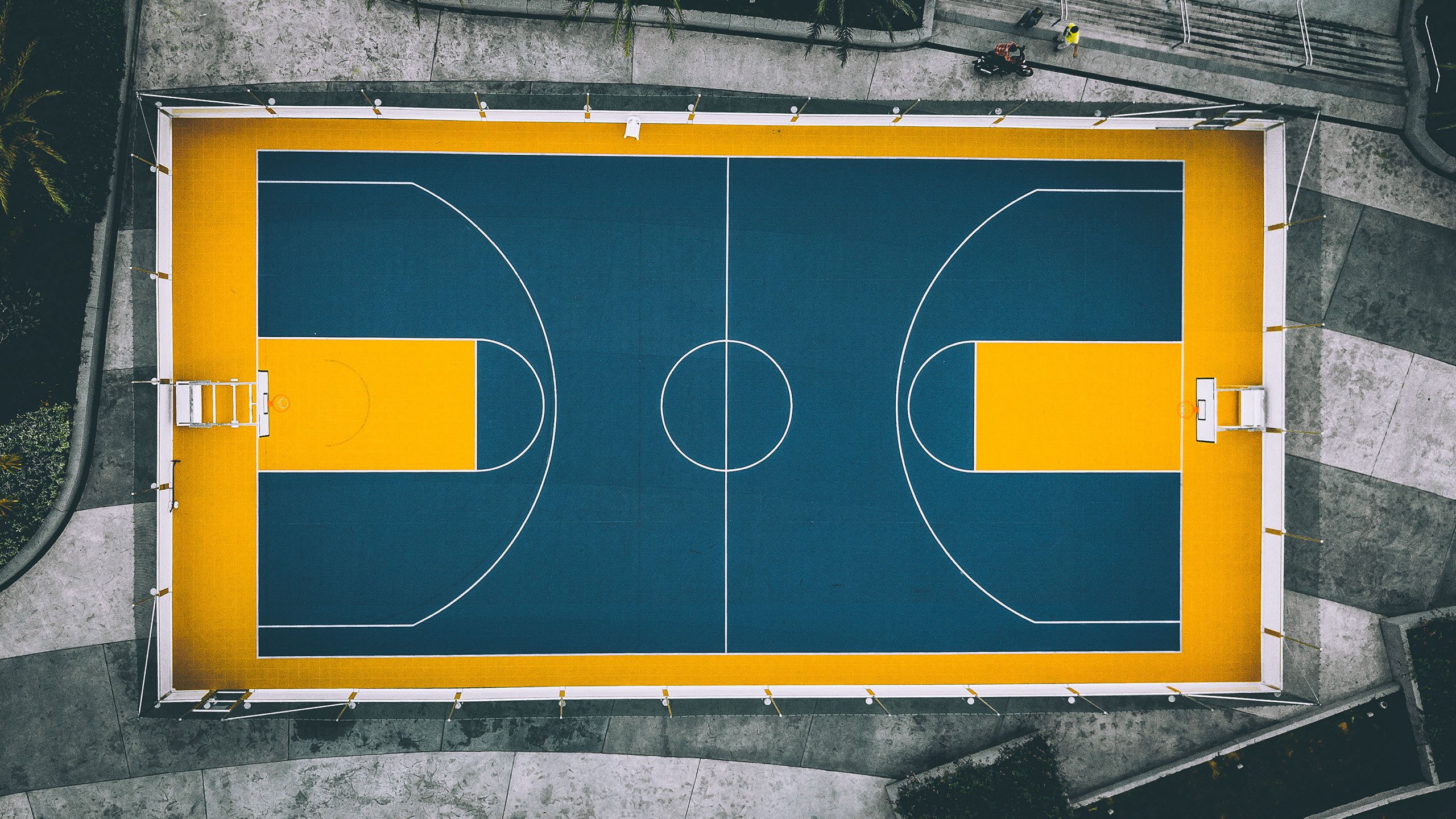 跨界风暴,热刺体检备战NBA,埃因霍温社区盾连胜,哈登爆冷湖人惊呆世人